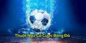 thuật ngữ cá độ bóng đá