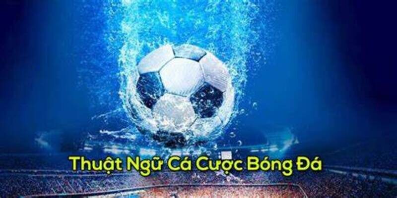 thuật ngữ cá độ bóng đá