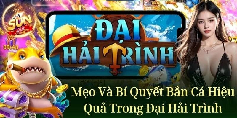 Bí Quyết Săn Cá Đại Hải Trình Hiệu Quả